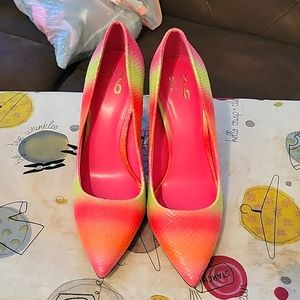 Rainbow Sherbert for Sale. These girls are Gorgeous with a hint of sparkle.